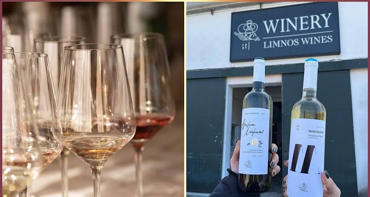 Limnos Wines: Νέα εσοδεία βραβεύσεων στον 23ο Διαγωνισμό Οίνου &amp; Αποσταγμάτων