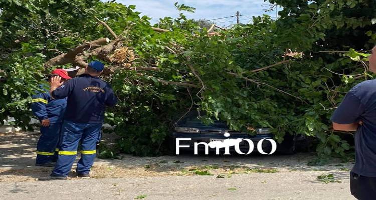 Άγιος Δημήτριος: Πτώση δέντρου σε αυτοκίνητο