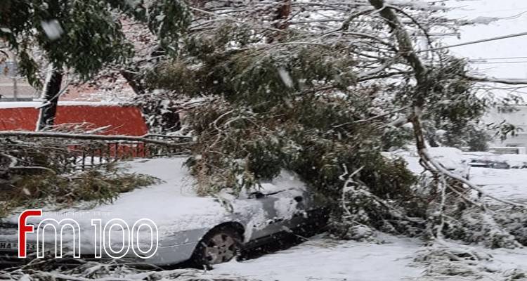 Λήμνος: Πτώσεις δέντρων, απεγκλωβισμοί οδηγών και μεταφορά ασθενών ο πρώτος απολογισμός της χιονόπτωσης